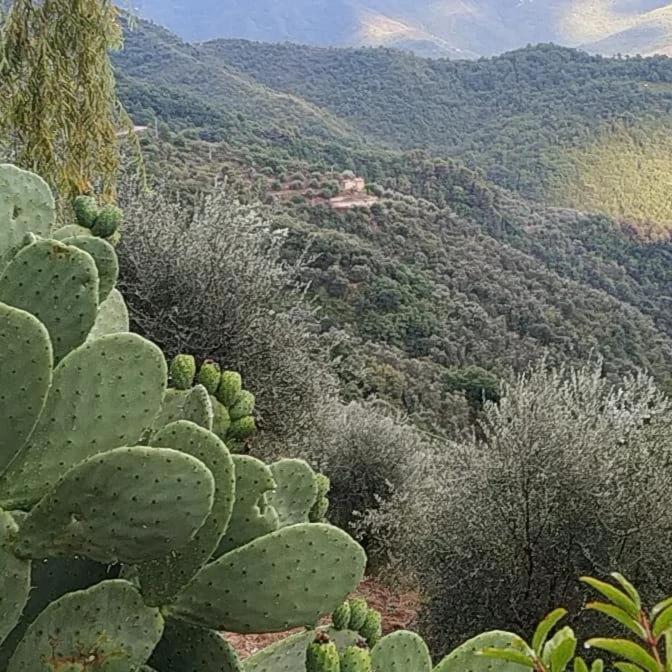 Appartamento Incantevole La Grotta Apricale Exteriör bild
